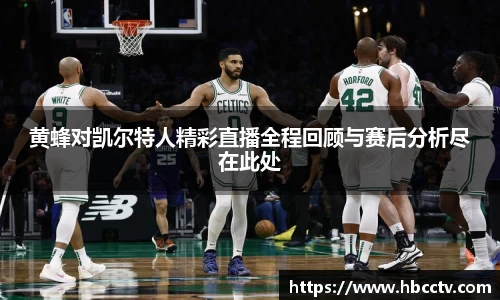 im电竞官网