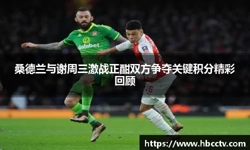 im电竞官网